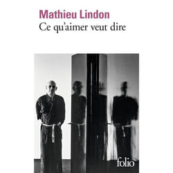 Éditions Gallimard CE QU AIMER VEUT DIRE livre Français
