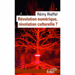 ISBN Révolution numérique, révolution culturelle ?, Français, 352 pages