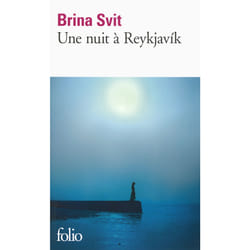 Une nuit à Reykjavík