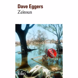 ISBN Zeitoun, Français, 432 pages