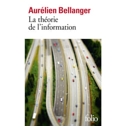 La théorie de l'information