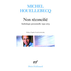 Non reconcilié - anthologie personnelle 1991-2013