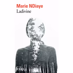Éditions Gallimard LADIVINE, Français, Livre broché, 454 pages