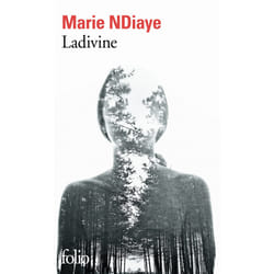 Éditions Gallimard LADIVINE