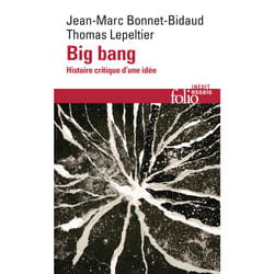 Big Bang : histoire critique d'une idée