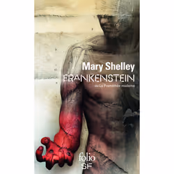 ISBN Frankenstein ou Le Prométhée moderne, Français, 336 pages