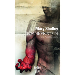 Frankenstein ou le Prométhée moderne