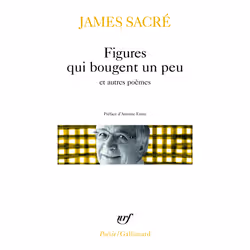 ISBN Figures qui bougent un peu et autres poèmes, Français, 288 pages