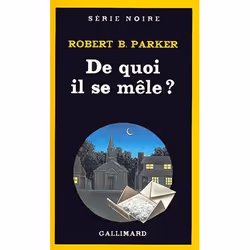ISBN De quoi il se mêle ?, Français, 256 pages