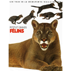 PETITS ET GRANDS FELINS