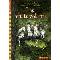 Les chats volants