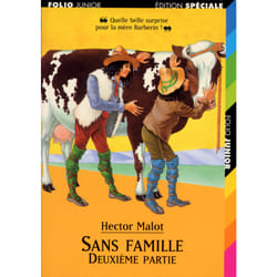 Sans famille - vol02
