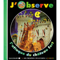 J'observe l'attaque du chateau fort