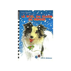 Le noël du chien de berger