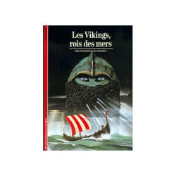 Les Vikings, rois des mers