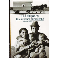 Les Tsiganes : Une destinée européenne