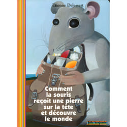 Comment la souris reçoit une pierre sur la tête et decouvre le monde