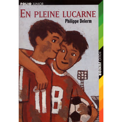 En pleine lucarne