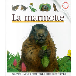 La marmotte