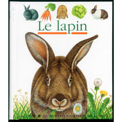 Le lapin