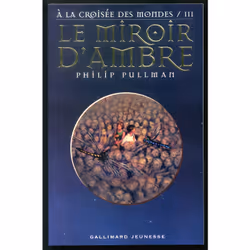 ISBN Le Miroir d'ambre, Français, 480 pages