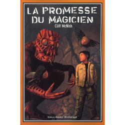 Le maléfice t.3 - la promesse du magicien