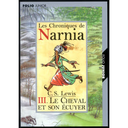 Le cheval et son ecuyer