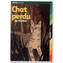 Chat perdu