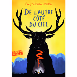 ISBN De l’autre côté du ciel, Français, 208 pages