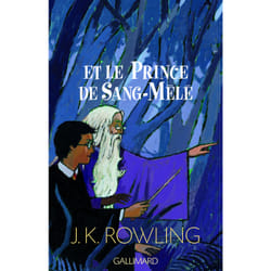 Harry Potter Tome 6 : Harry Potter et le Prince de Sang-Mêlé