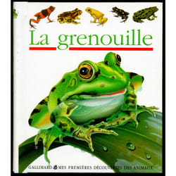 La grenouille