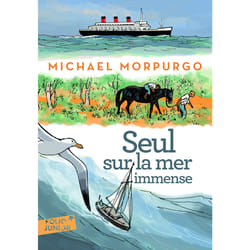 Seul sur la mer immense