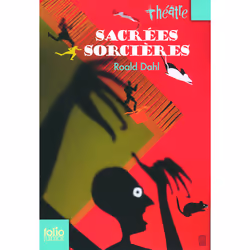 ISBN Sacrées sorcières, Français, 144 pages
