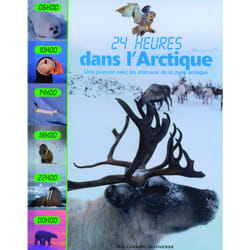 24 heures dans l'arctique - une journee avec les animaux de la zone arctique