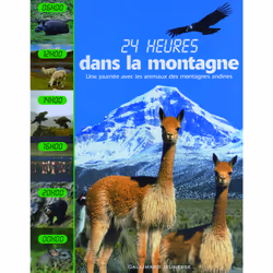 ISBN Dans la montagne, Français, 48 pages