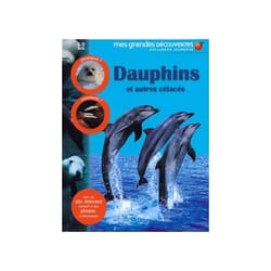Dauphins et autres cétacés