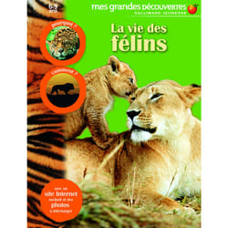 La vie des félins