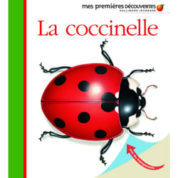 La coccinelle
