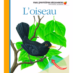 ISBN L'oiseau, Français, 24 pages