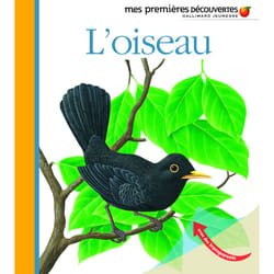 L'oiseau