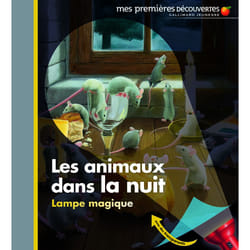 Les animaux dans la nuit