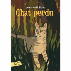 ISBN Chat perdu, Français, 80 pages
