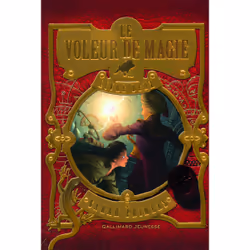 ISBN Le Voleur de magie, Français, 336 pages