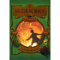 ISBN Le Voleur de magie, Français, 304 pages