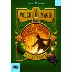 ISBN Le Voleur de magie, Français, 320 pages