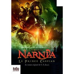 Le prince Caspian - le livre du film