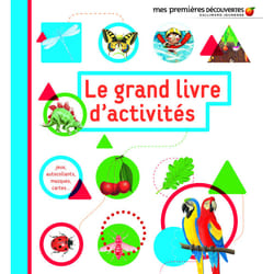 Le grand livre d'activités
