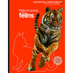 Petits et grands félins