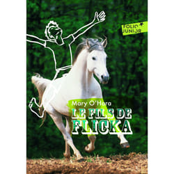 Le fils de Flicka