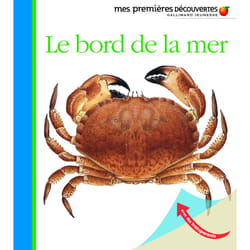 Le bord de la mer